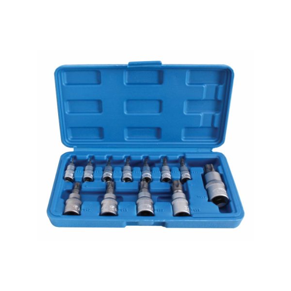 Furatos torx plus bit dugókulcs készlet 12 részes S-H125TP (1)