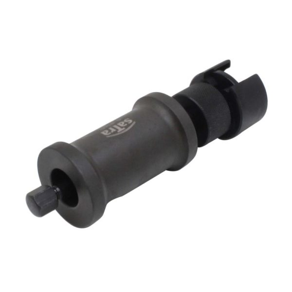 S-BSFSI (1)